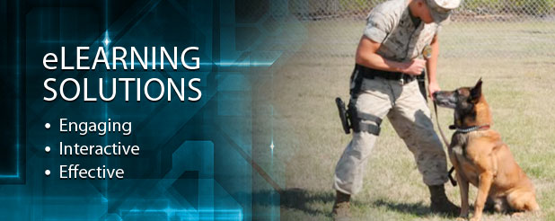 eLearning Solutions - Engaging, Interactive, Effective